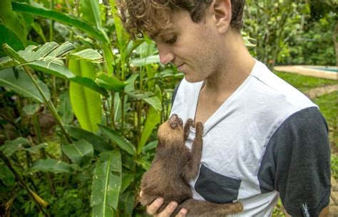 costa rica sloth sanctuary volunteer